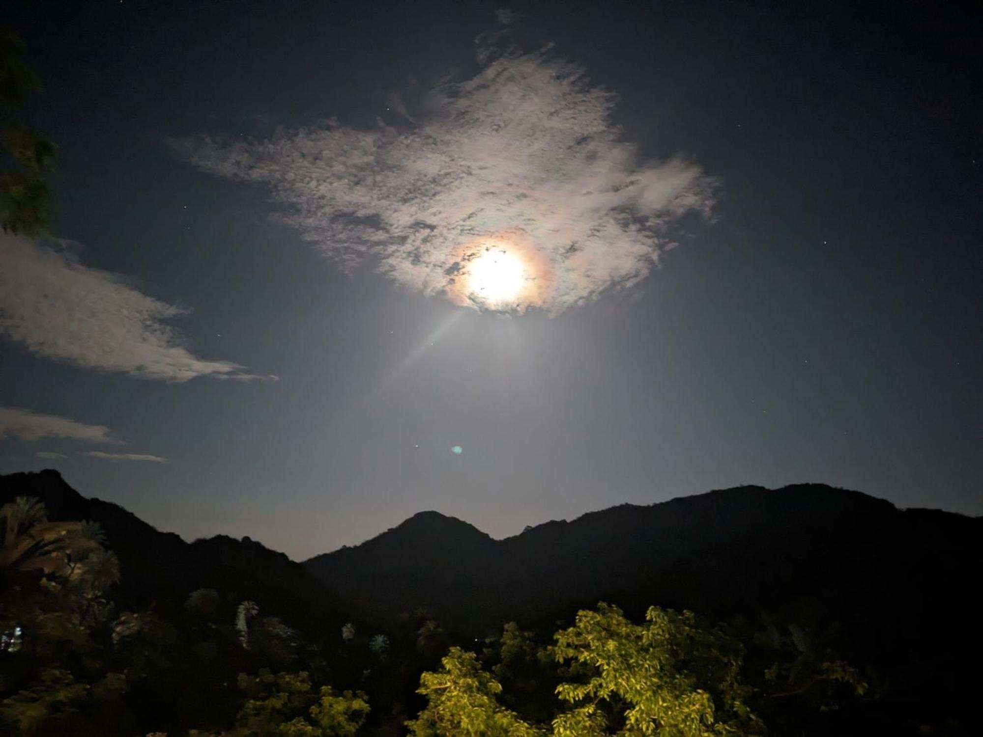 Hotel Cob House Mount Abu Esterno foto